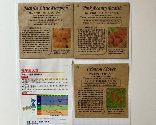 カボチャの種のセット、販売開始でーす！！*\(^o^)/*