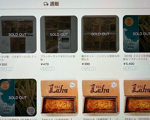 種の販売を一旦中止しまーす。