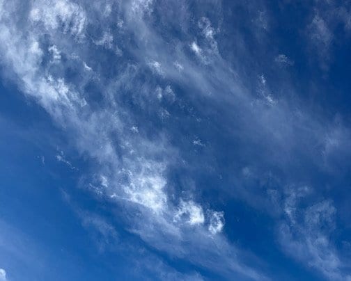 年末だー！　ファンクラブを見直そうーー！！