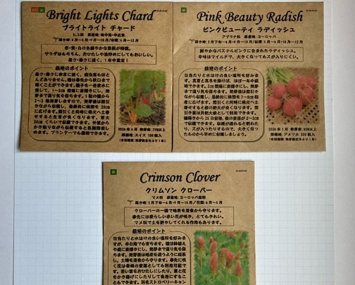 ほうれん草小分け種、販売します〜*\(^o^)/*