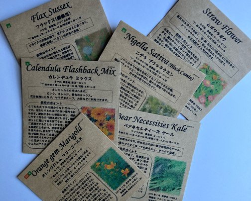 今春は、在庫大放出のみで行きます！！