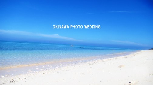 沖縄本島の美しさを体験し、永遠の思い出を手に入れませんか？私たちの熟練フォトグラファーは、旅のプロフェッショナルです。