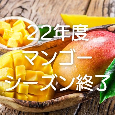 22年度マンゴーシーズン終了のお知らせ