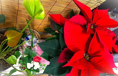 ◎今年も残りわずかとなりました◎