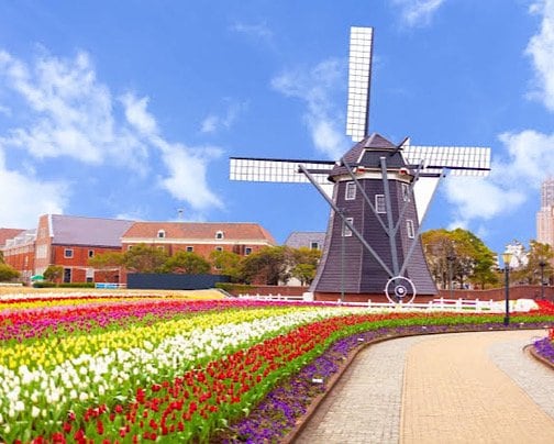 今月のピックアップを更新しました