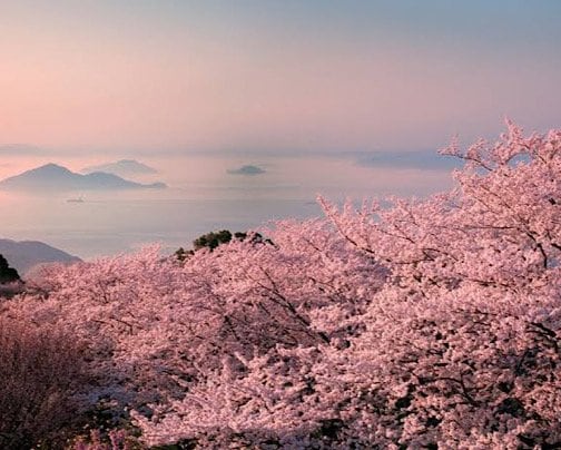 今月のピックアップ更新しました。