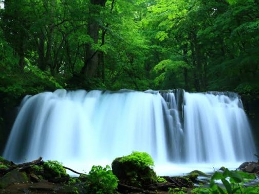 今月のピックアップを更新しました。