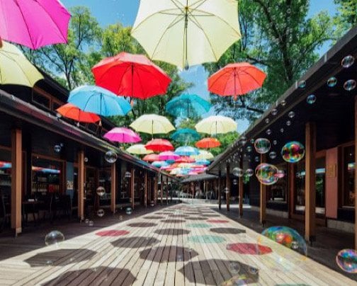 今月のピックアップを更新しました！