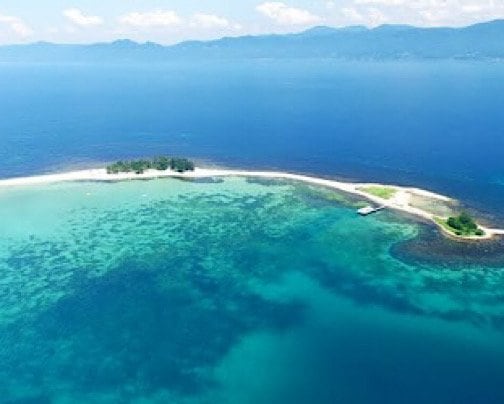 今月のピックアップを更新しました！