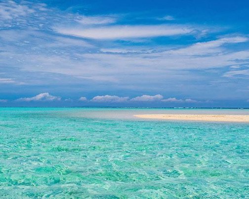 今月のピックアップを更新しました。