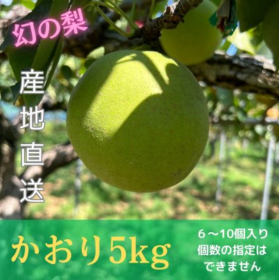 [幻の梨]かおりのご予約を開始しました。