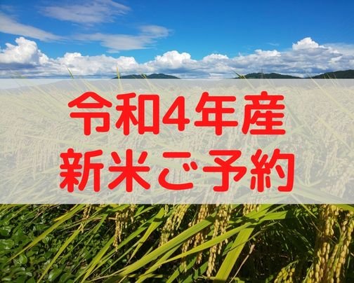 【新米ご予約受付始まりました】