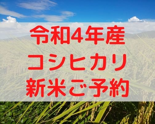 【コシヒカリ新米ご予約開始】