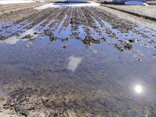 【田畑も顔を出しました】