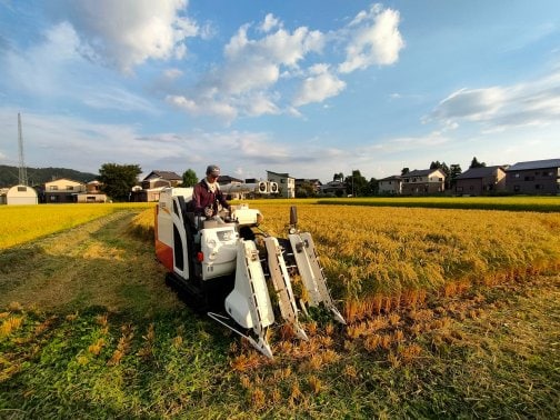 稲刈りが始まりました!