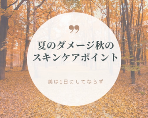 9月定休日のご案内