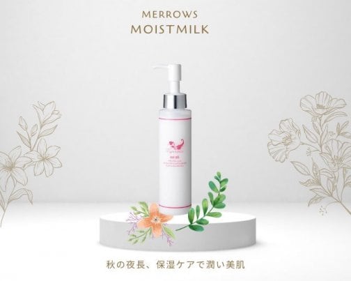 11月休業日のご案内