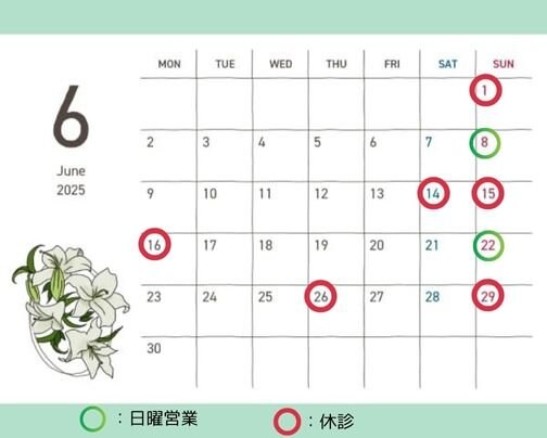 ６月の日曜営業/休診日