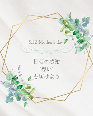 おきなわ晴家の母の日ギフト