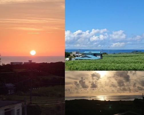 ライブカメラを設置しています。