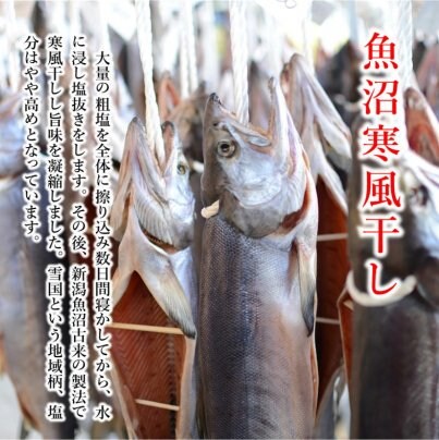 新巻き鮭作ってます