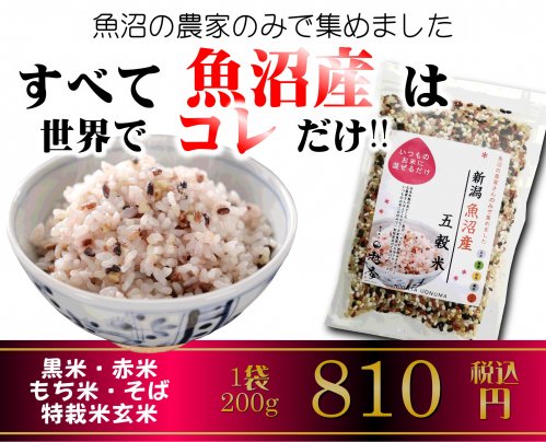 ALL魚沼で集めました！！