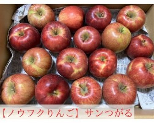 【ノウフクりんご】サンつがるの販売を開始しました
