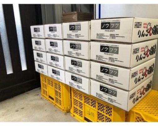 収穫、選別、出荷作業