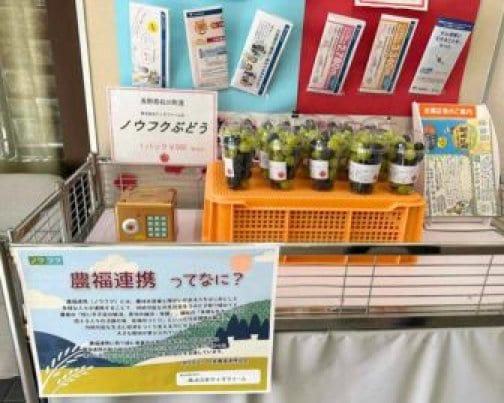 大島郵便局様にてノウフクぶどうの無人販売開始！