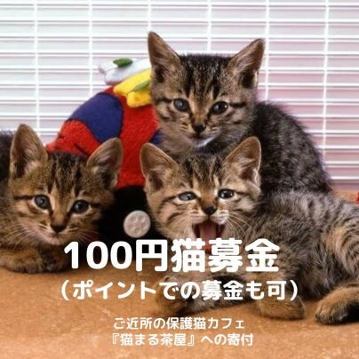 100円保護犬猫募金