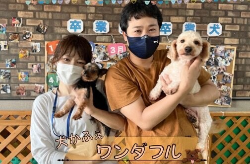 沖縄県初✨保護犬カフェ【犬かふぇワンダフル】さん（沖縄県糸満市西崎）へ行ってきました☆*:.｡. o(≧▽≦)o .｡.:*☆