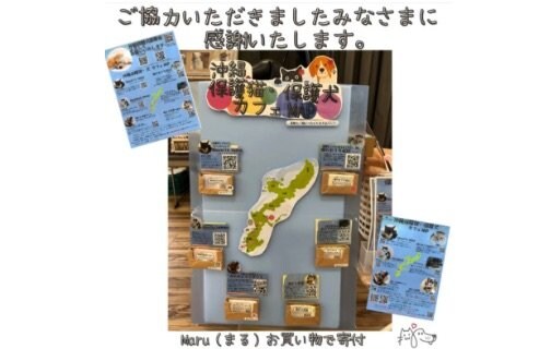 沖縄保護犬猫に会いに♪ 触れ合いに♪【沖縄保護犬猫カフェMAP】完成しました(*˙˘˙*)
