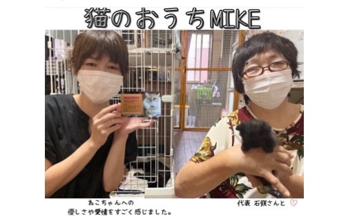 【猫のおうちMIKE（みけ）】さん（沖縄県うるま市田場）に行ってきました*ฅ´ω`ฅ*♡