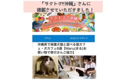 ℍ𝕒𝕡𝕡𝕪¨̮𝕟𝕖𝕨𝕤♡ 🎉  沖縄をお得に楽しめるブログ 「ラクトク‼︎沖縄」に掲載させていただきました！