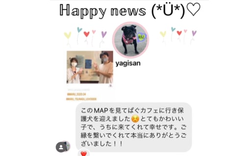 ℍ𝕒𝕡𝕡𝕪 𝕟𝕖𝕨𝕤(*Ü*)♡