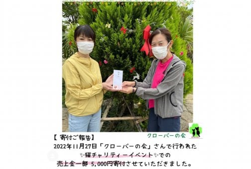 【イベント・寄付ご報告】⸜(๑'ᵕ'๑)⸝ 🍀クローバーの会🍀主催✨猫チャリティーイベント✨ (*˙˘˙*)ஐ