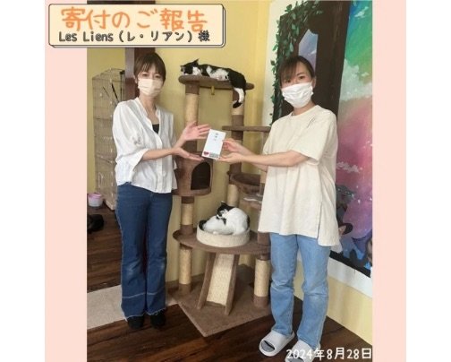 【Les Liens（レ・リアン）様】への寄付ご報告⸜(๑'ᵕ'๑)⸝