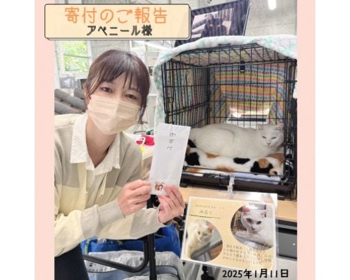 【アベニール】様への寄付ご報告⸜(๑'ᵕ'๑)⸝