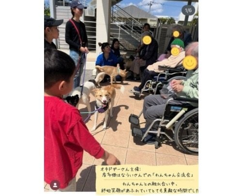 オキドギーさん主催による【わんちゃん交流会】