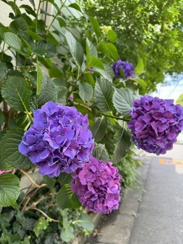 新宿区にて子育て支援活動を♪