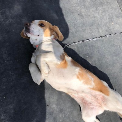 趣味は猟・・・