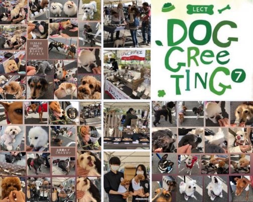DOG　GReeTING　広島LECT​​
