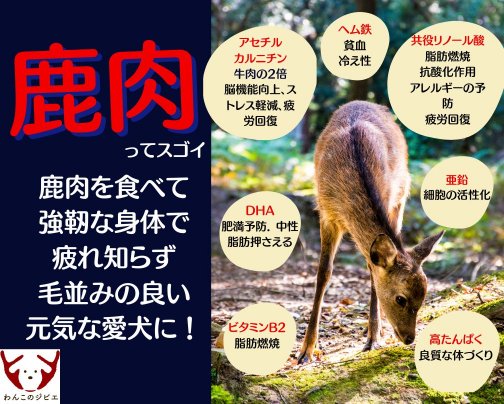 鹿肉ってスゴイ