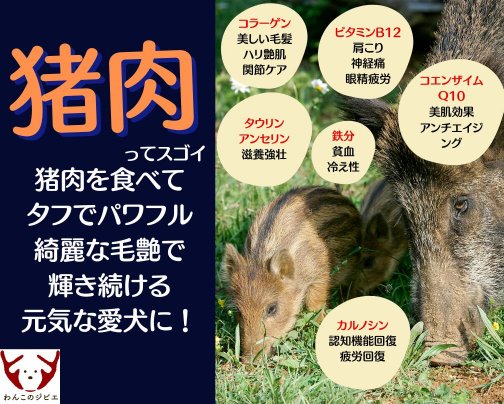 猪肉ってスゴイ