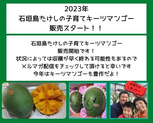 子育てキーツマンゴー販売中！