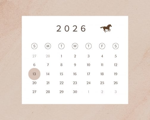 ２０２６年５月/７月　スケジュール