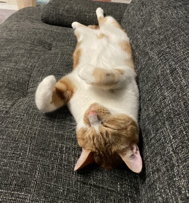 トラブルの原因！？