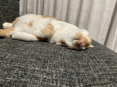 認められたい願望！？