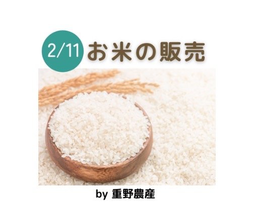 かしわざきまるっと2023　出店者様のご案内　2月11日(土)/12日(日)