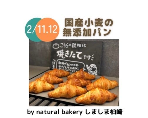 かしわざきまるっと2023　出店者様のご案内　2月11日(土)/12日(日)